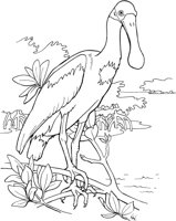 TPB022A.TIF