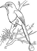 TPB021A.TIF