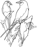TPB019A.TIF