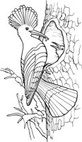 TPB018A.TIF