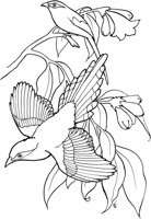 TPB017A.TIF