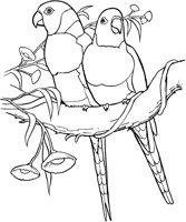 TPB016A.TIF