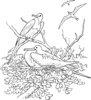 TPB015A.TIF
