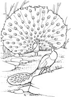 TPB014A.TIF