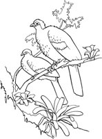 TPB011A.TIF