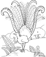 TPB007A.TIF