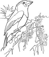 TPB006A.TIF