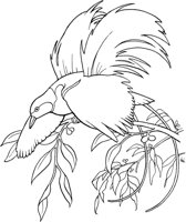 TPB005A.TIF