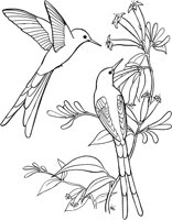 TPB004A.TIF