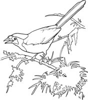 TPB003A.TIF