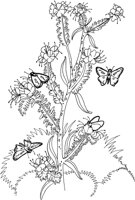 BTF047A.TIF
