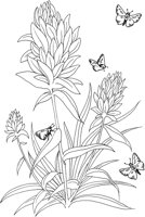 BTF045A.TIF