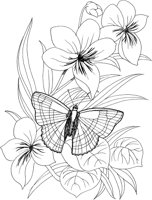 BTF041A.TIF
