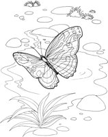 BTF039A.TIF