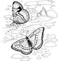 BTF038A.TIF