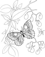 BTF037A.TIF