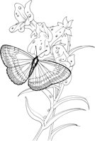 BTF035A.TIF