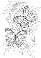 BTF034A.TIF