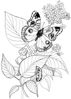 BTF033A.TIF