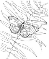 BTF032A.TIF
