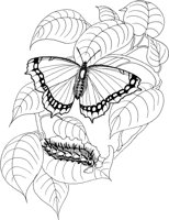 BTF028A.TIF