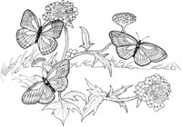 BTF024A.TIF