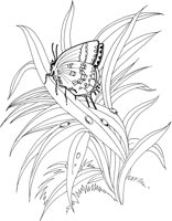 BTF016A.TIF