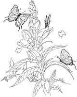 BTF015A.TIF
