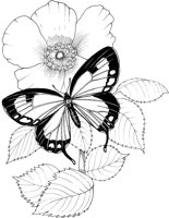 BTF014A.TIF
