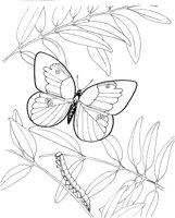 BTF008A.TIF