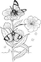 BTF007A.TIF