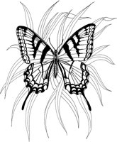 BTF005A.TIF