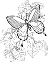 BTF004A.TIF