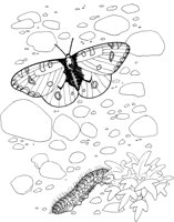 BTF003A.TIF