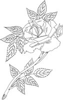 FRS039A.TIF