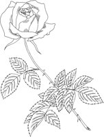 FRS038A.TIF