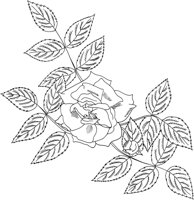 FRS029A.TIF