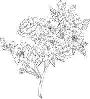 FRS009A.TIF