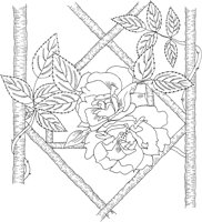 FRS004A.TIF
