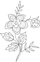 FLM116C.TIF