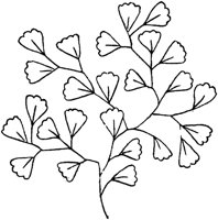 FLM116B.TIF
