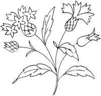 FLM116A.TIF