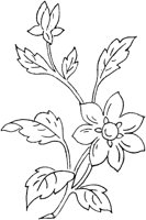 FLM115A.TIF