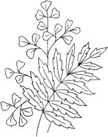 FLM114D.TIF