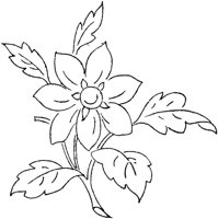 FLM114A.TIF