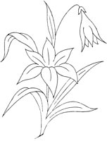 FLM112D.TIF