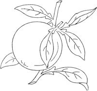FLM112B.TIF