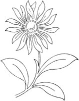 FLM111D.TIF