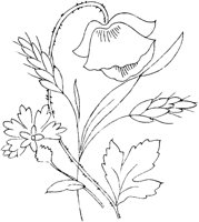 FLM111A.TIF