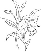 FLM110E.TIF